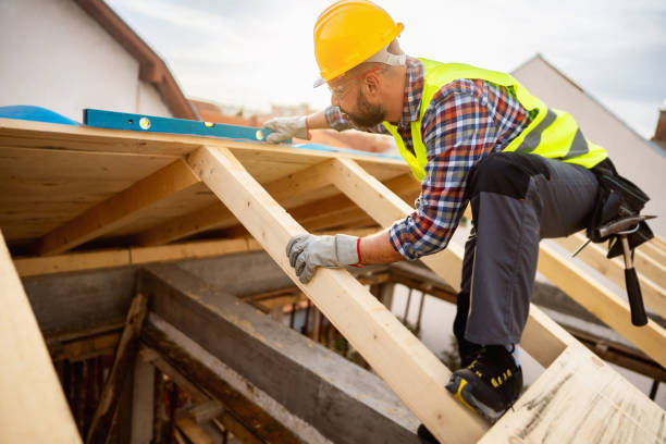 Best Roof Gutter Cleaning  in Clifton Forge, VA