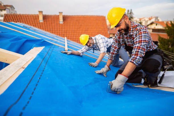 Best Affordable Roofing Company  in Clifton Forge, VA